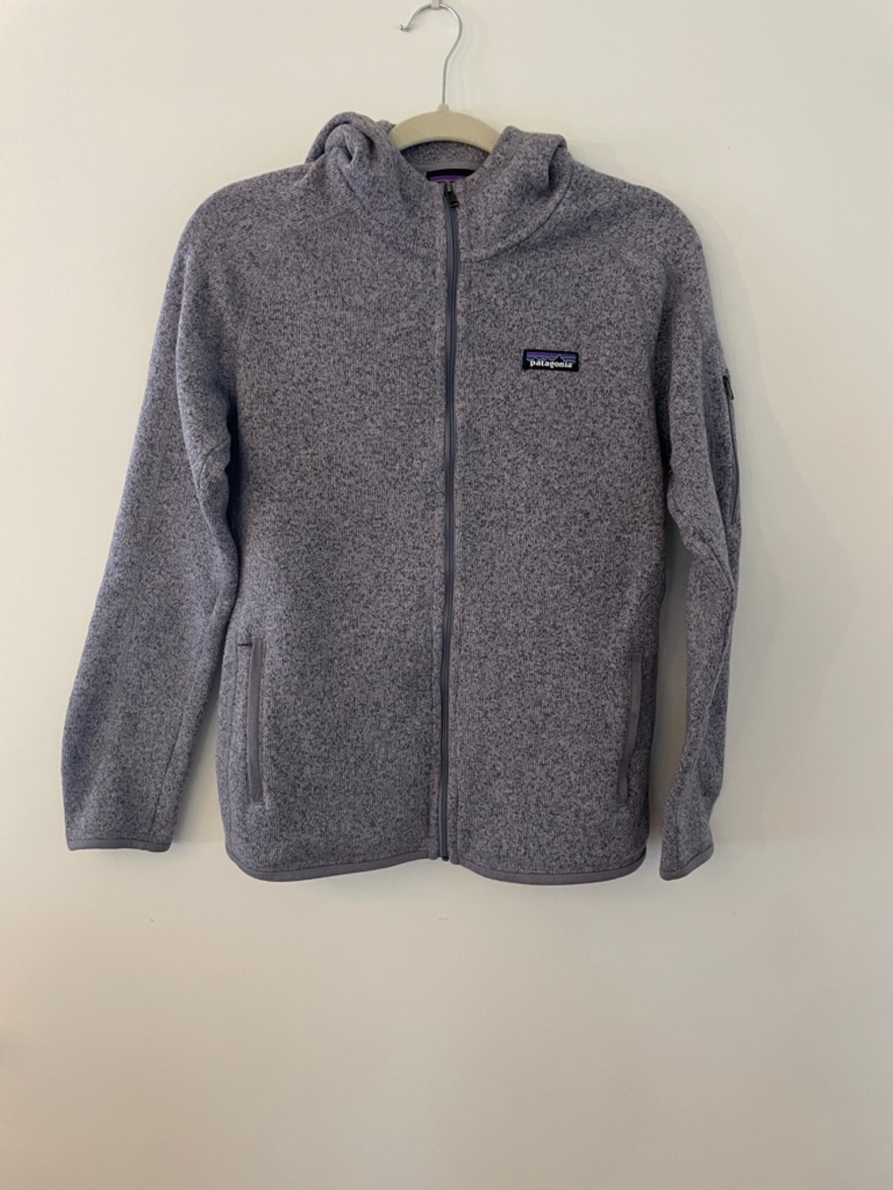 Patagonia Heather Gray Hooded Full-Zip Fleece Jacket